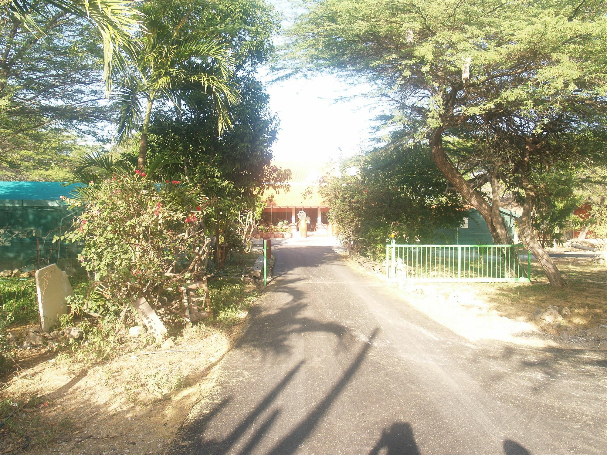 Landhuis Daniel - Plantation House Tera Kora Экстерьер фото
